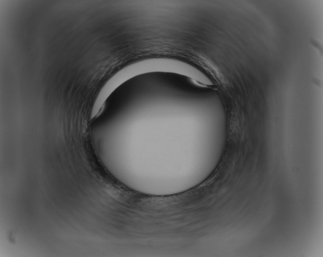 X0000092040025200710101005