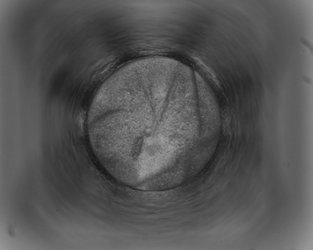 X0000092040026200710101005