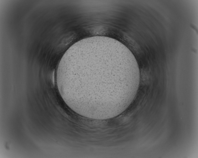 X0000092040028200710101005