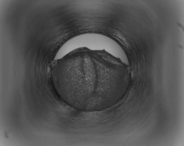 X0000092040029200710101005