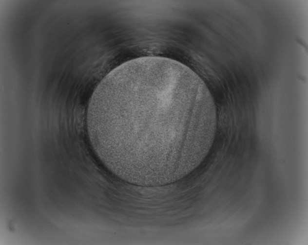 X0000092040030200710101005