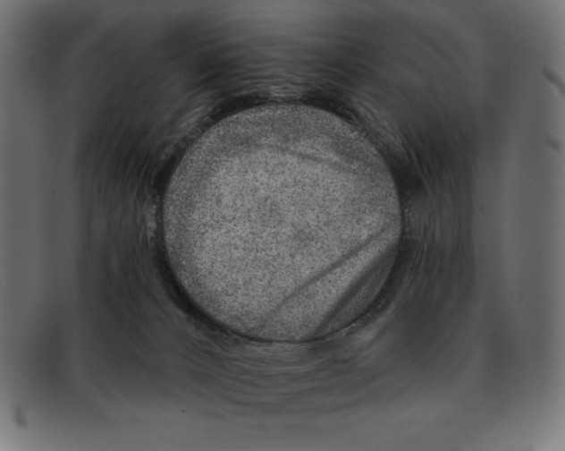 X0000092040032200710101005