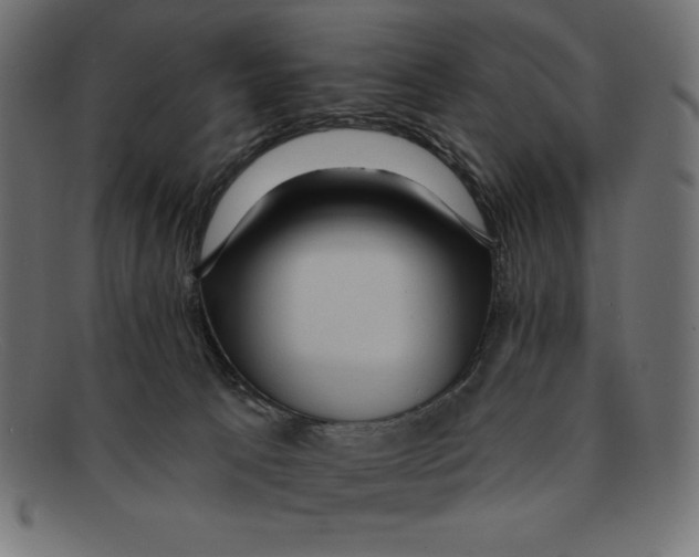 X0000092040033200710101005