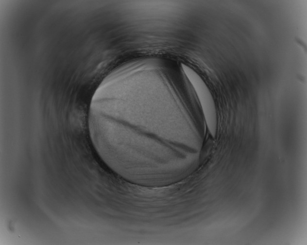 X0000092040035200710101005