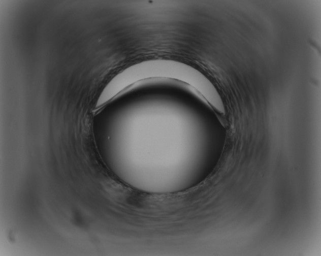 X0000092040037200710101005