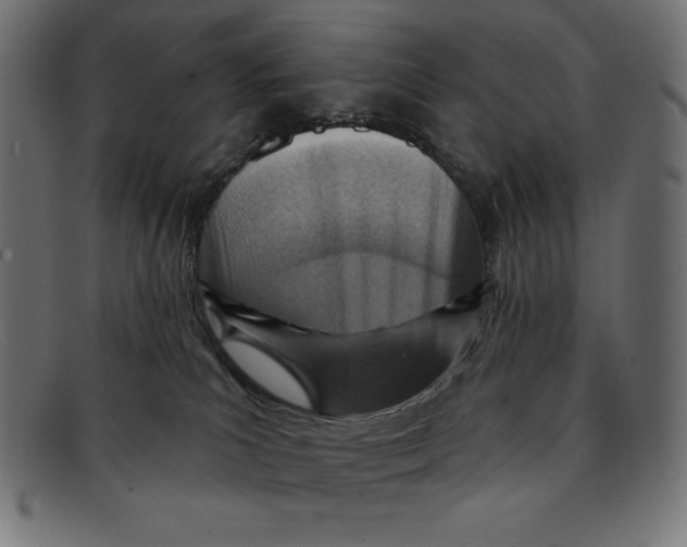 X0000092040039200710101005