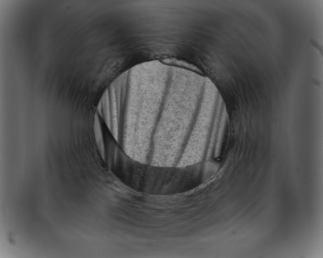 X0000092040041200710101005