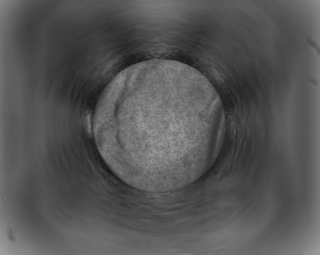 X0000092040042200710101005