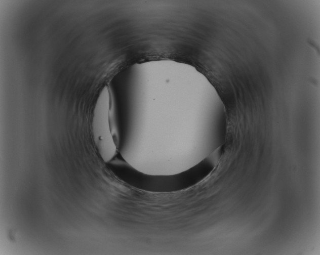 X0000092040045200710101005