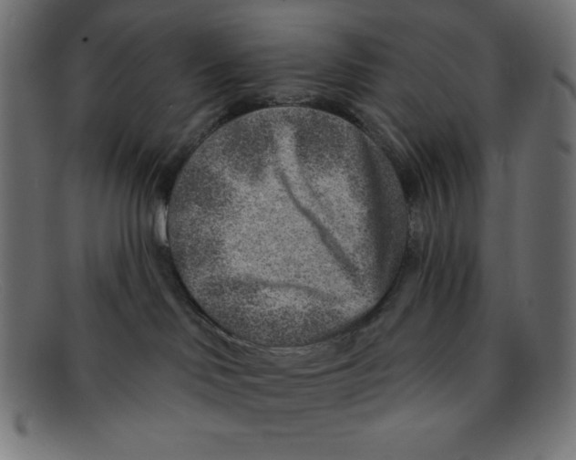 X0000092040046200710101005