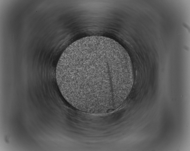 X0000092040048200710101005