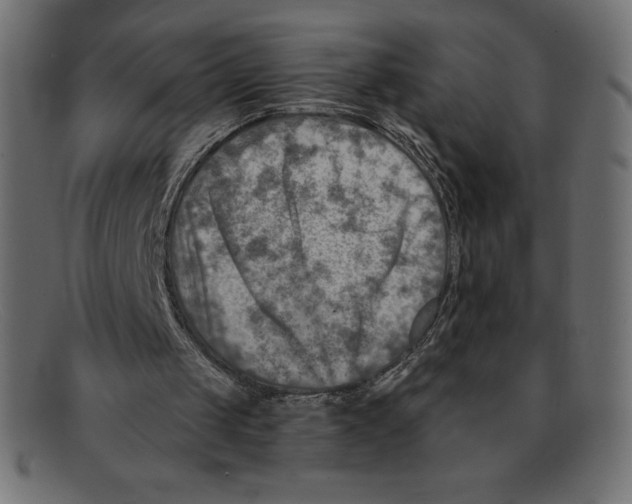 X0000092040049200710101005