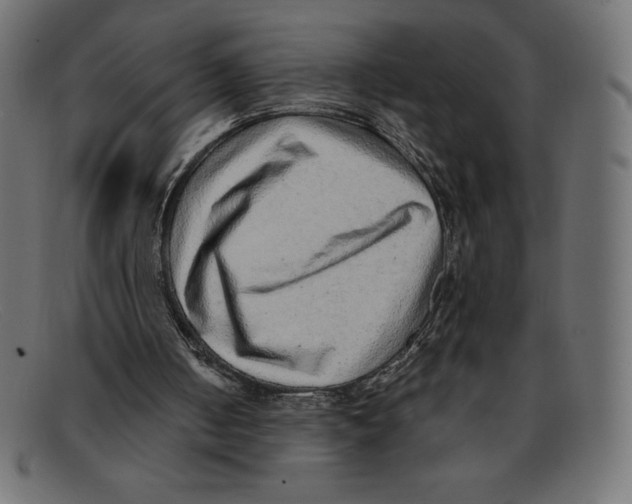 X0000092040050200710101005