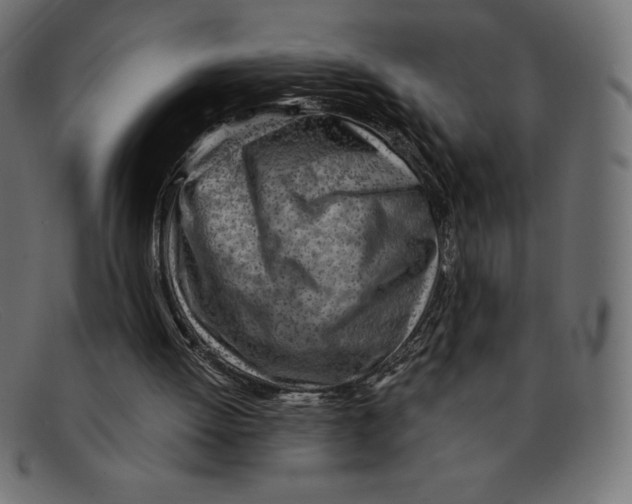 X0000092040052200710101005