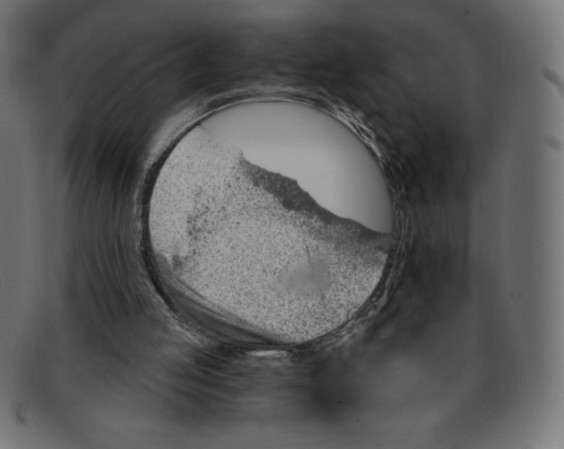 X0000092040053200710101005