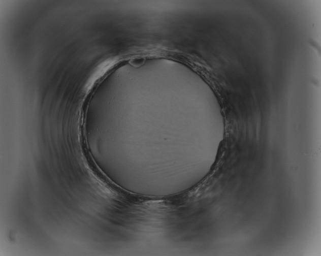 X0000092040054200710101005