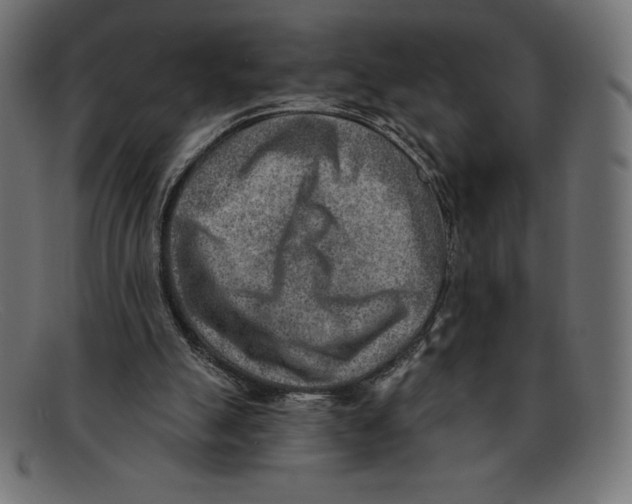 X0000092040055200710101005