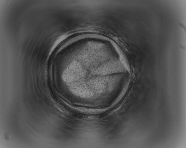 X0000092040056200710101005