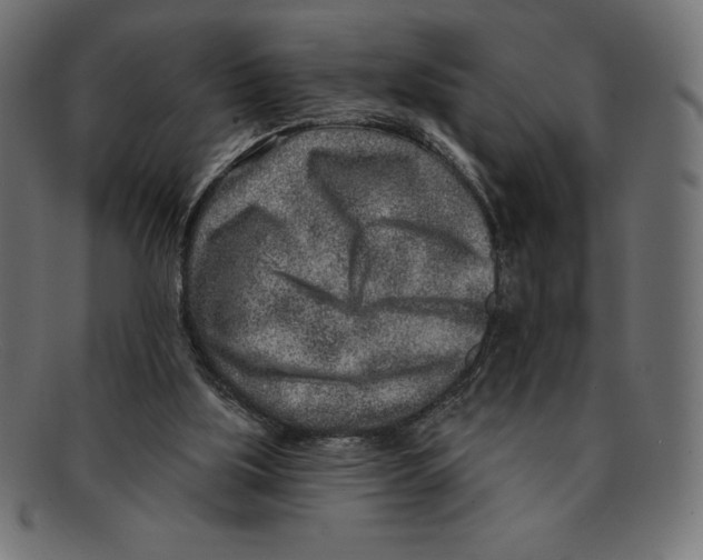 X0000092040059200710101005