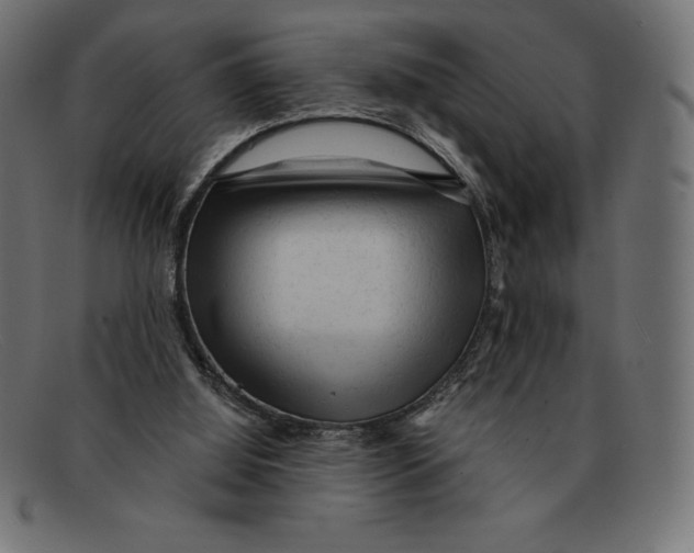 X0000092040060200710101005