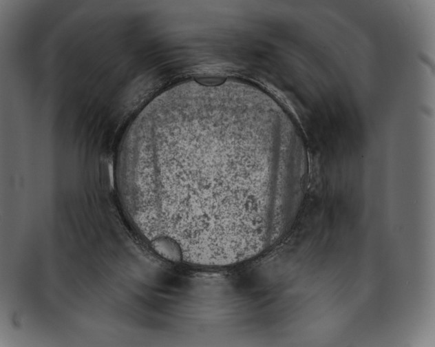 X0000092040061200710101005