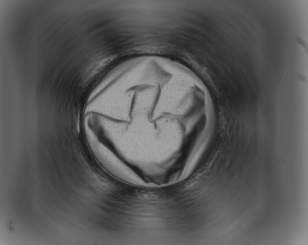 X0000092040062200710101005