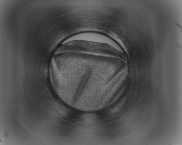 X0000092040063200710101005