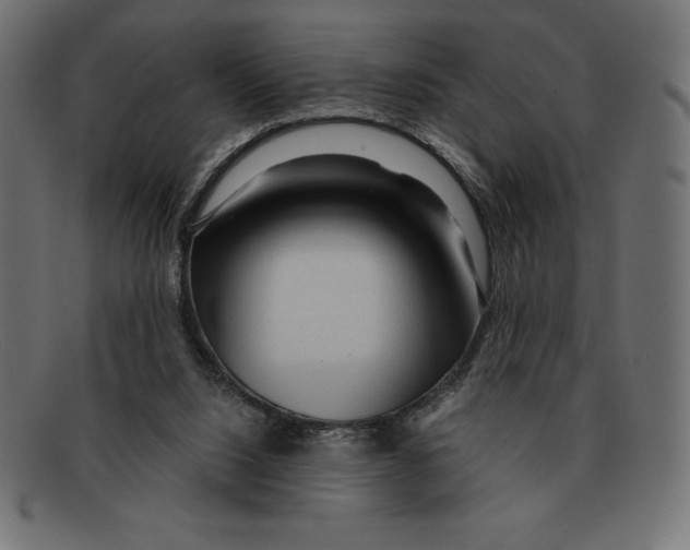 X0000092040064200710101005