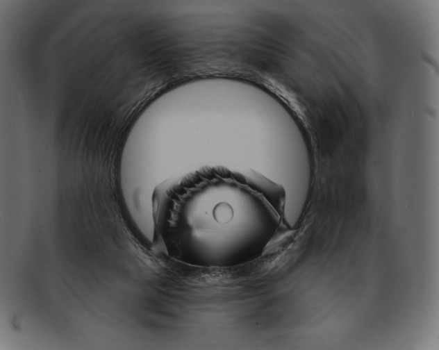 X0000092040065200710101005