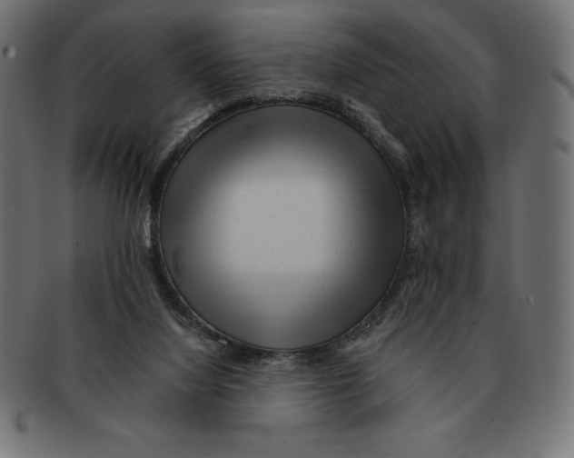 X0000092040068200710101005