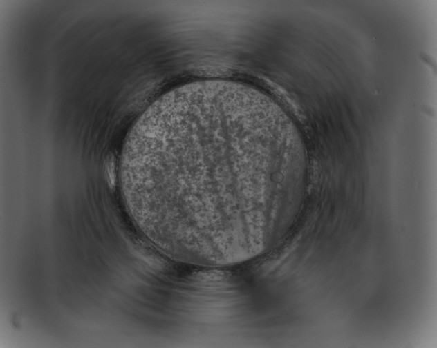 X0000092040069200710101005