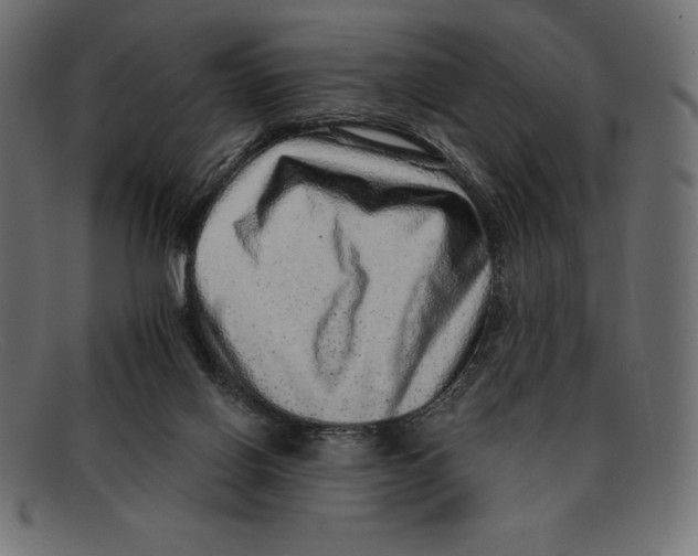 X0000092040070200710101005