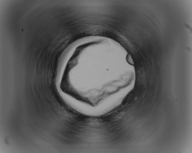 X0000092040073200710101005