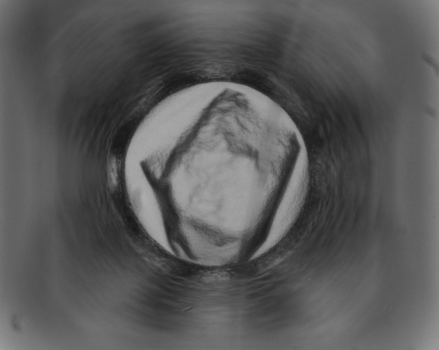 X0000092040075200710101005