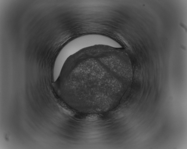 X0000092040076200710101005