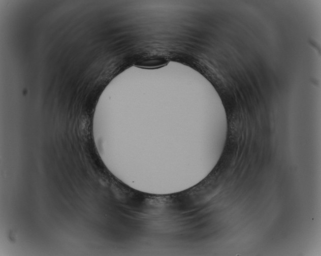 X0000092040079200710101005