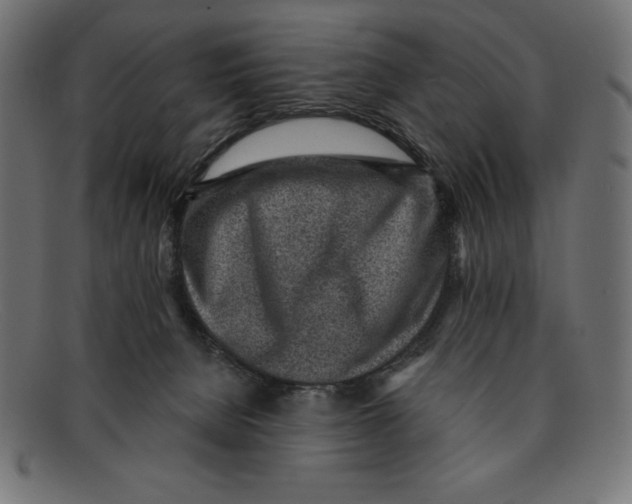 X0000092040080200710101005