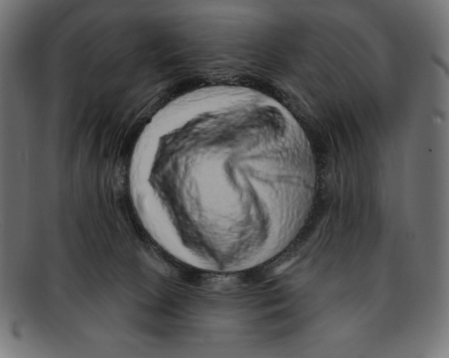 X0000092040081200710101005