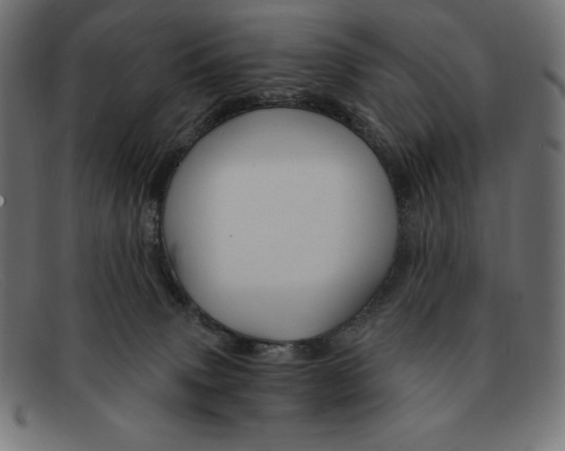 X0000092040083200710101005