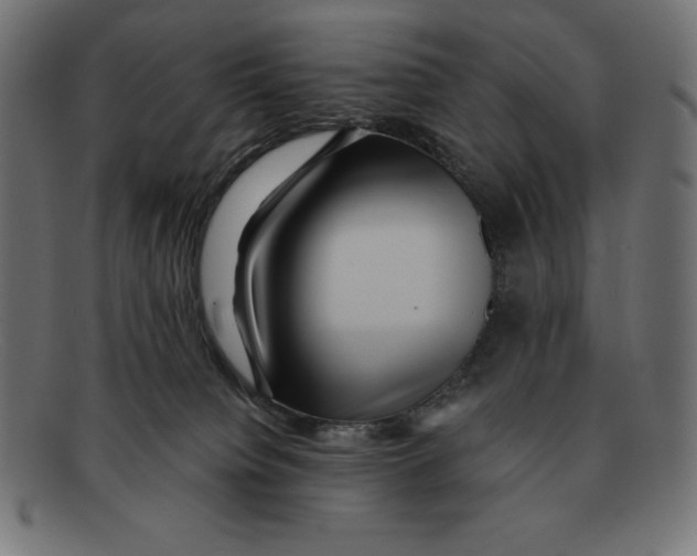 X0000092040084200710101005