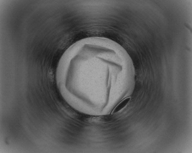 X0000092040086200710101005