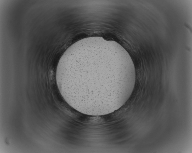 X0000092040087200710101005