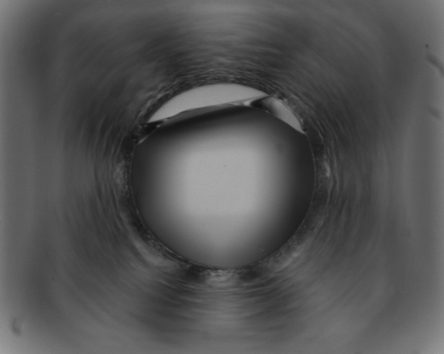 X0000092040088200710101005