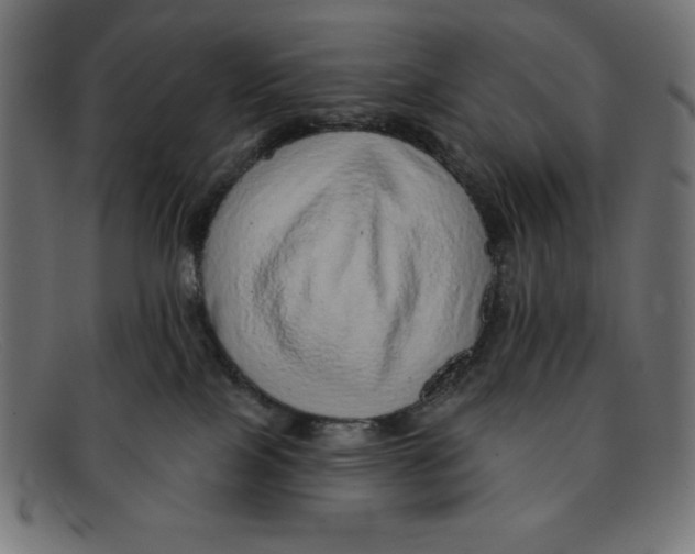 X0000092040089200710101005