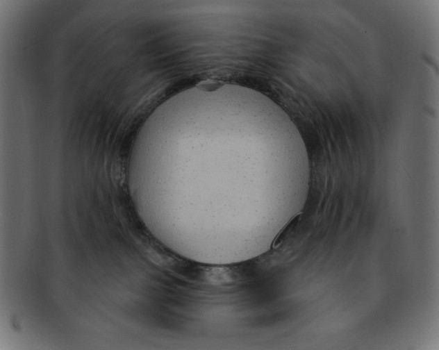 X0000092040091200710101005