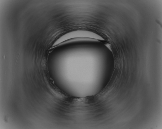 X0000092040092200710101005