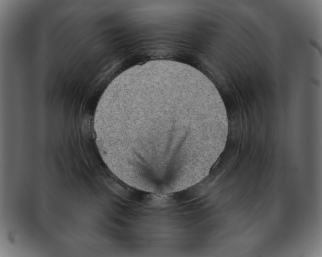 X0000092040093200710101005