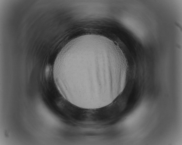 X0000092040095200710101005