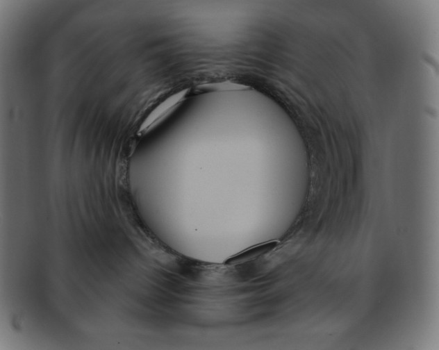 X0000092040096200710101005