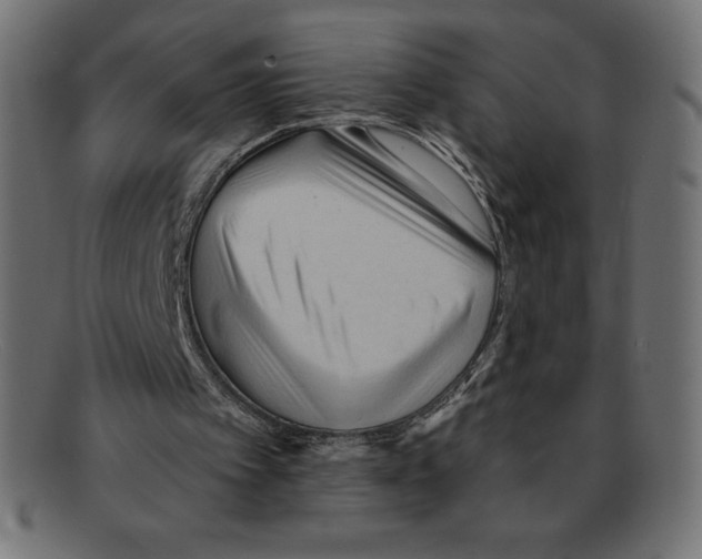 X0000092040097200710101005